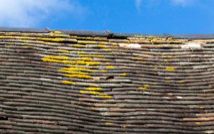 Broken roof tiles and gaps where rain can enter